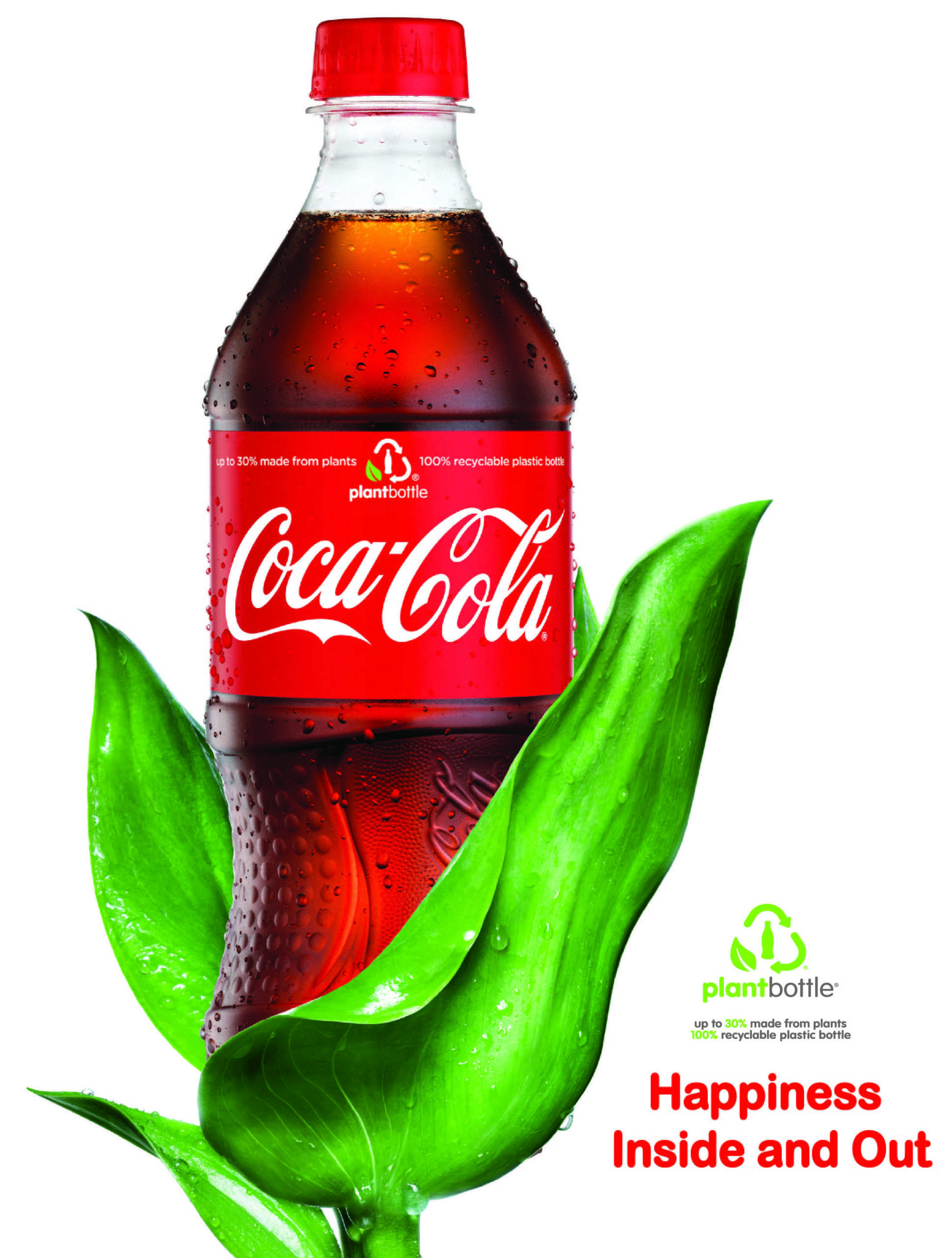 O que você consome é realmente sustentável?