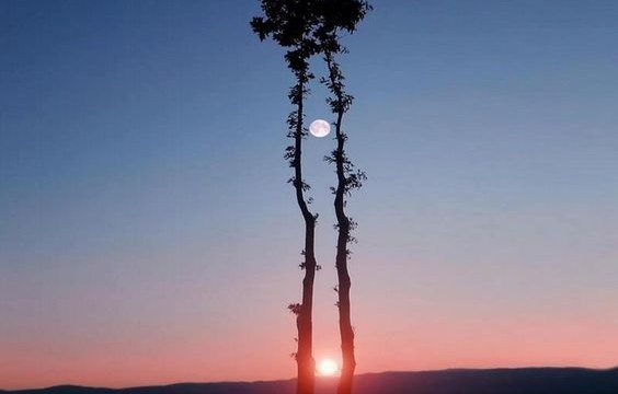 Não desista, salve a minha vida!