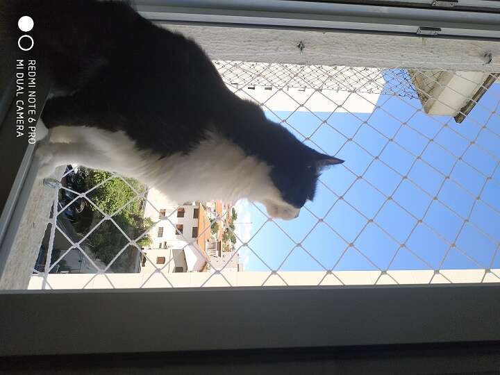 Com quem você quer estar depois da quarentena?